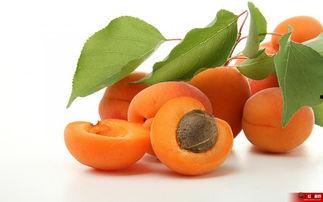 王可乐麻麻吃瓜娱乐版